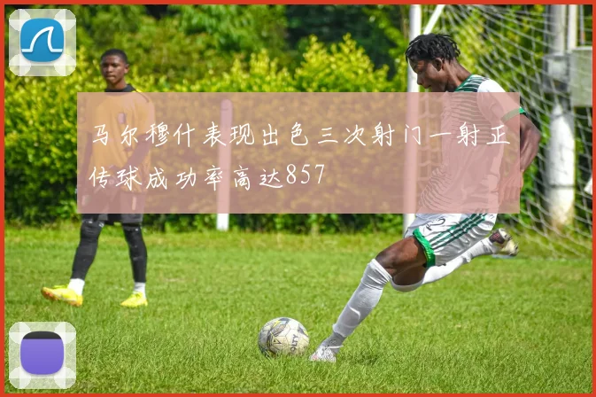 马尔穆什表现出色三次射门一射正传球成功率高达857