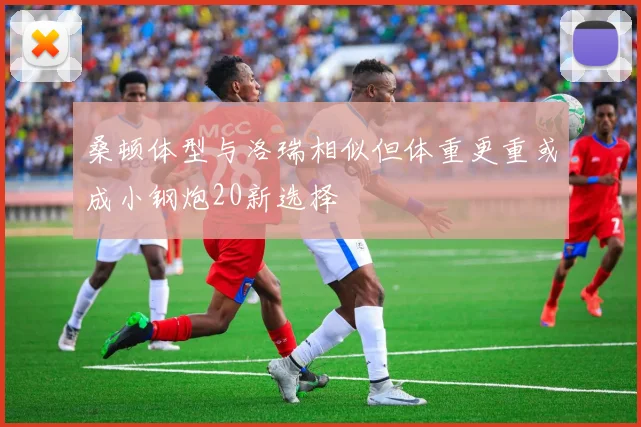 桑顿体型与洛瑞相似但体重更重或成小钢炮20新选择